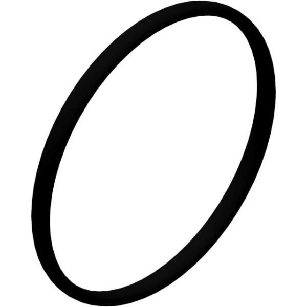 DT Swiss Gewindering Stahl M45x1 f&uuml;r Ratchet DEG  Silber