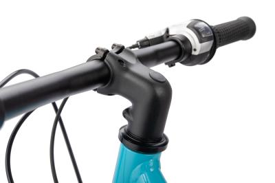 NALOO Chameleon 24", Mk2, 8-Speed, Purple Produktbild 4