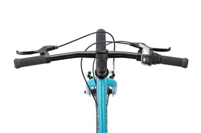 NALOO Chameleon 20", Mk2.1, 8-Speed, Turquoise Produktbild 2
