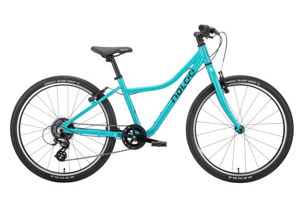 NALOO Chameleon 24", Mk2.1, 8-Speed, Turquoise