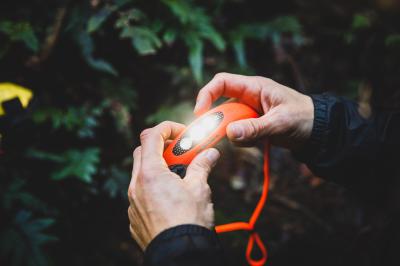 Knog Stirnlampe Bilby fluoro orange  Produktbild 2