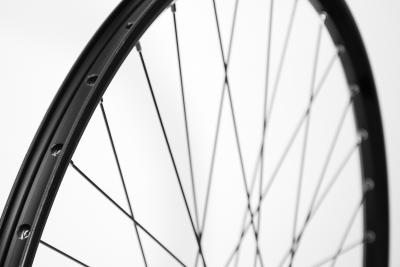 Laufrad hinten 28" 622x19 FHQB400HMAZB 135mm 8-11-Gang 6-Loch QR schwarz  Produktbild 3