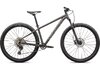 Specialized Rockhopper Expert SATIN SMOKE / GLOSS CHROME S - 29