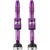 Ethirteen Tubelessventil Quickfill Gen2 Aluminium 2 Stk. 16-24mm, Violett  Eggplant 16-24 mm