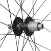 Shimano Freilaufkörper WH-RX880 Micro Spline 