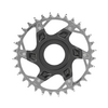 Sram Chainring XX Eagle AXS Transmission FAZUA Direct Mount 34T black/silver